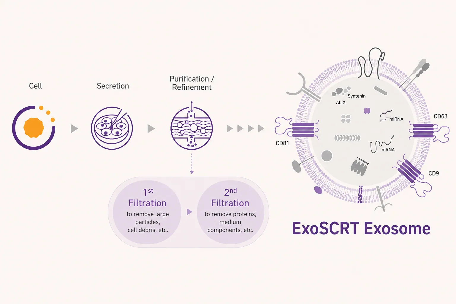 ExoSCRT纯化技术
